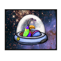 Kiwi Spaceship - Collect all 12
