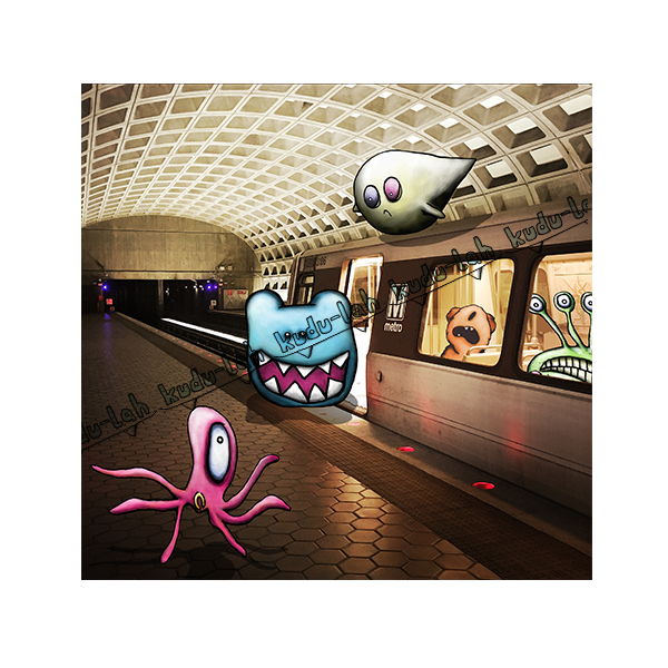 DC Metro